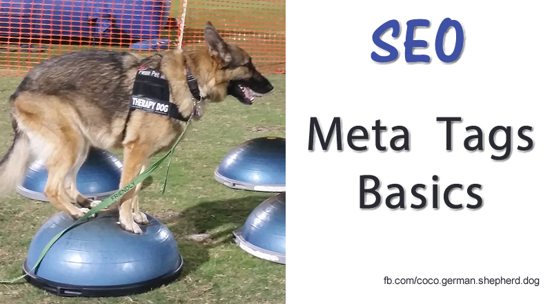 Meta Tags & SEO for Dog Trainers